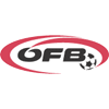 ЧМ-2015 (U-20). Австрия - Аргентина 0:0. Серебряная Команда за волосок от вылета - изображение 1