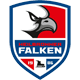 Heilbronner Falken Heilbronner Falken