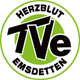 TV Emsdetten TV Emsdetten