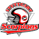 Stuttgart Scorpions Stuttgart Scorpions