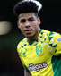 Onel Hernandez Onel Hernandez