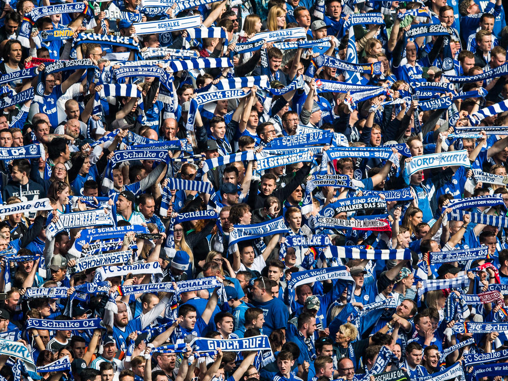 Schalke testet gegen Teams aus Spanien und Aserbaidschan Schalke testet gegen Teams aus Spanien und Aserbaidschan