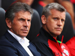 southampton kader southampton kader