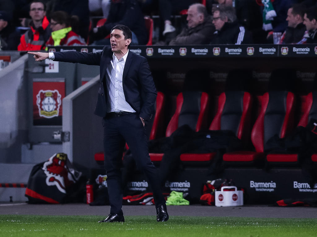 Leverkusens Trainer Tayfun Korkut feiert sein Champions-League-Debüt Leverkusens Trainer Tayfun Korkut feiert sein Champions-League-Debüt