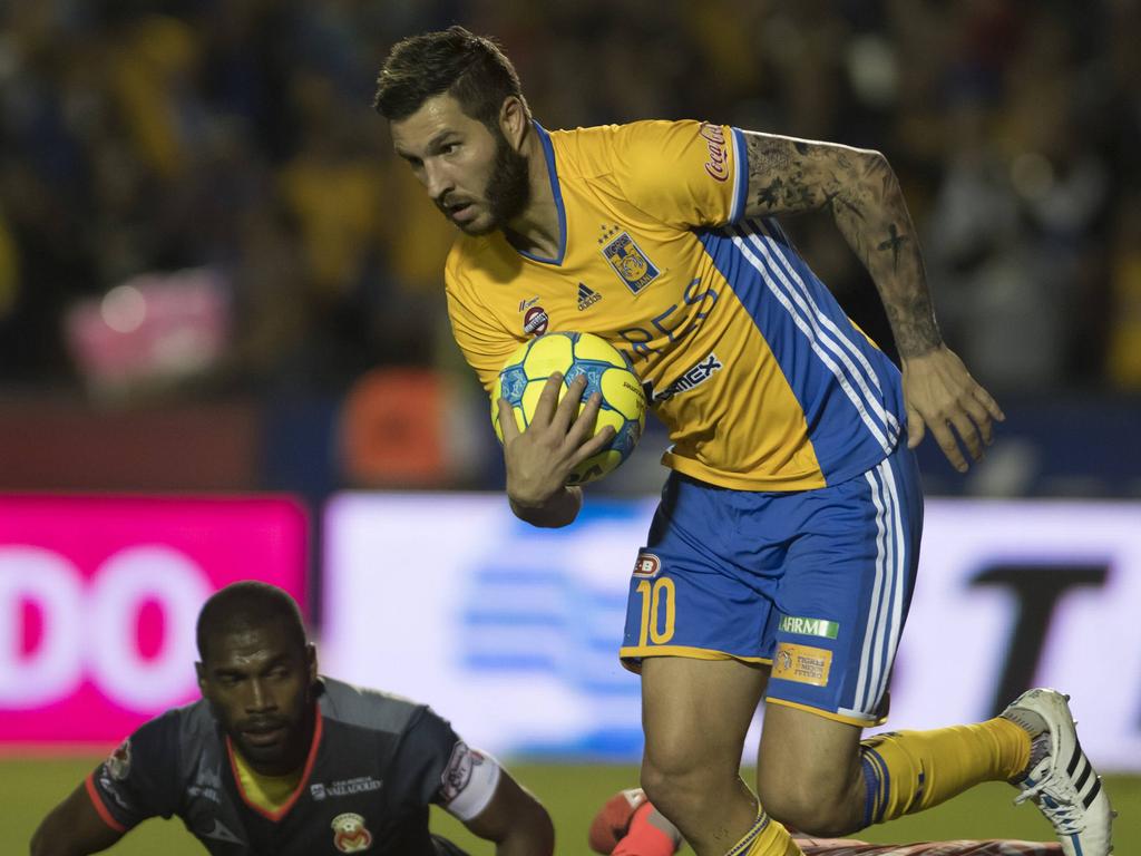 El delantero de los Tigres Gignac. (Foto: Imago) El delantero de los Tigres Gignac. (Foto: Imago)