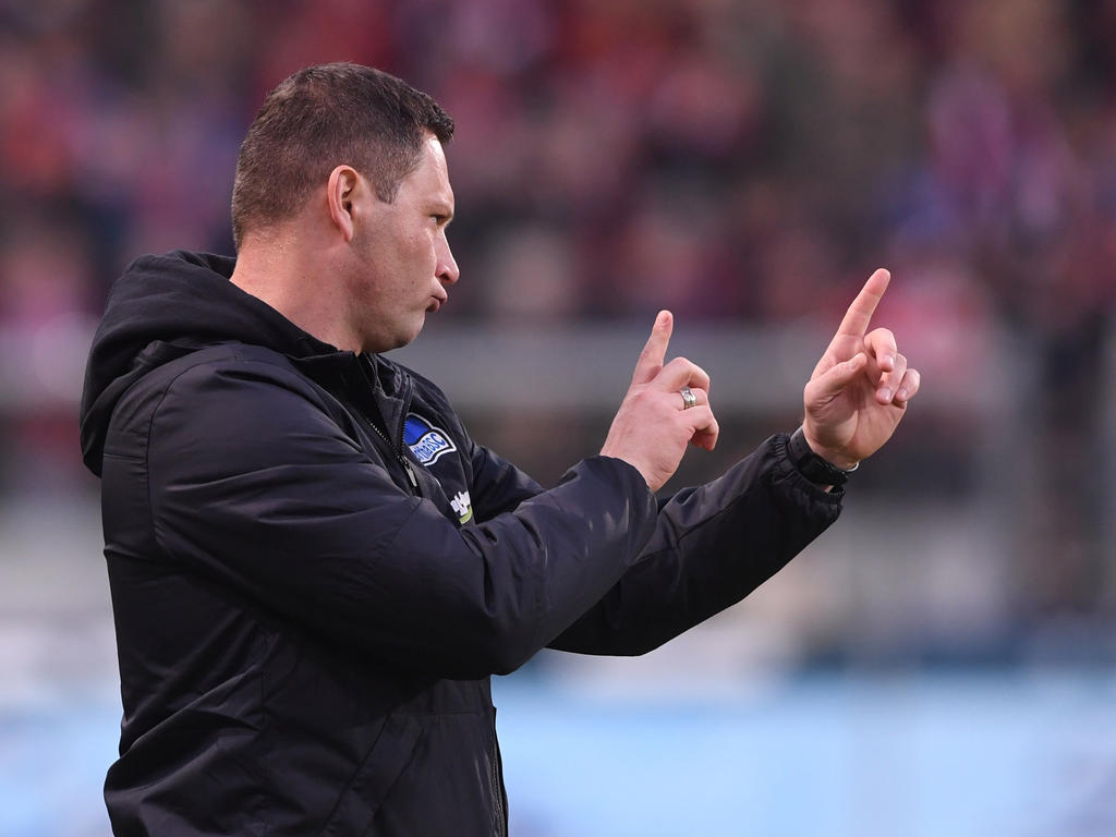 Hertha-Coach Pál Dárdai glaubt an Punktgewinn gegen Bayern München Hertha-Coach Pál Dárdai glaubt an Punktgewinn gegen Bayern München