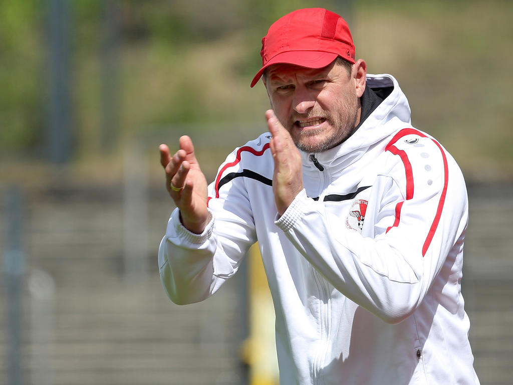 Steffen Baumgart ist neuer Coach des SC Paderborn Steffen Baumgart ist neuer Coach des SC Paderborn