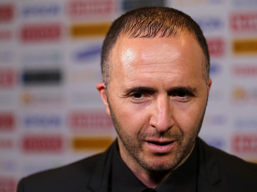 im qatar coach - for now, says belmadi